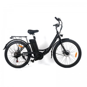 Electric Bicycle  EB-001